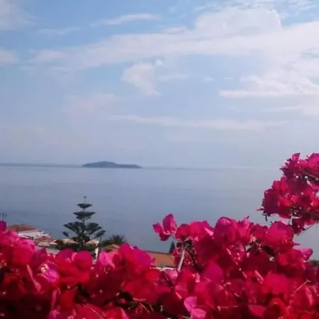 Bougainvillea House